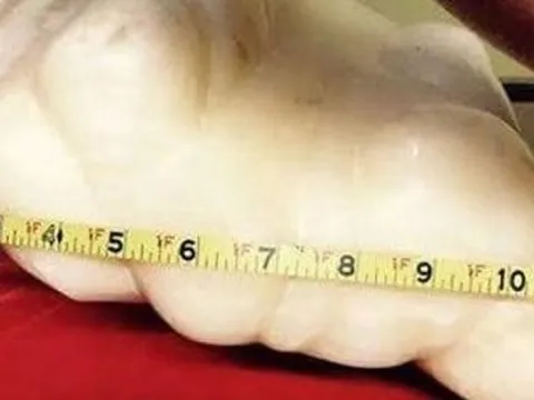 Đem khối đá lạ về đặt dưới gầm giường, 10 năm sau anh chàng sốc với núi tiền "khủng"