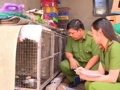 Phát hiện người đàn ông nuôi nhốt nhiều động vật quý hiếm sau nhà