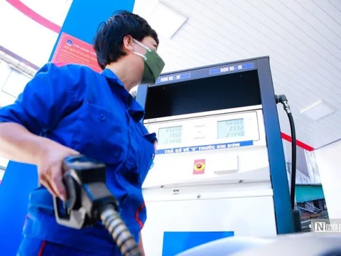 Chuyển hồ sơ vụ sai phạm xăng dầu của cán bộ thuộc diện Bộ Chính trị quản lý