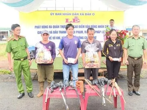 Bình Phước hàng trăm loại vũ khí vật liệu nổ và công cụ hỗ trợ được người dân giao nộp