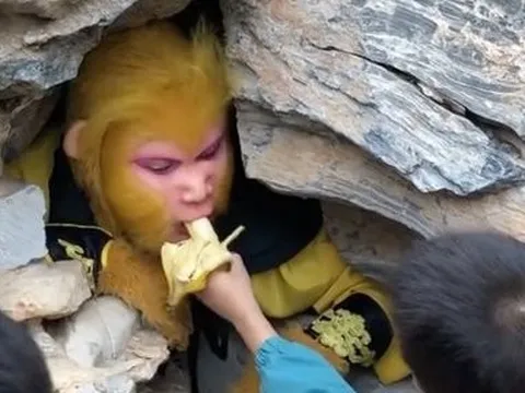 Tôn Ngộ Không "giả" được trả lương cao để ăn thức ăn do du khách đưa