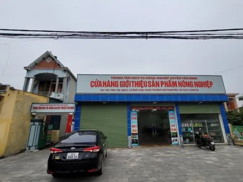 Vụ lợn dự án cấp cho dân bị ốm, chết: Thông tin bất ngờ từ đơn vị tiêm phòng