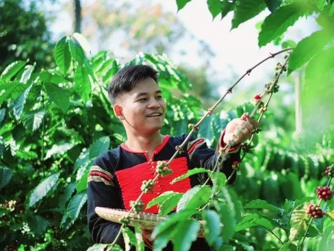 Chàng trai Đắk Lắk gọi vốn 5 tỷ để viết tiếp ước mơ cùng Ê Đê Café