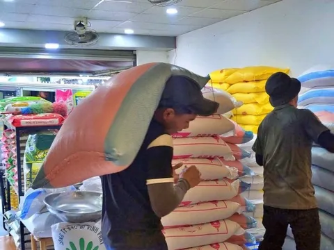 Giá gạo nội địa xu hướng tăng, cần bình ổn thị trường