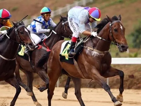 Lấy ý kiến nhân dân về trường đua ngựa Sóc Sơn 500 triệu USD