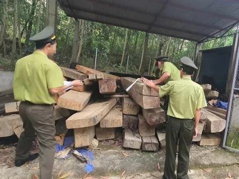 Huế: Diễn biến mới vụ cán bộ kiểm lâm liên quan đến vụ vận chuyển lâm sản trái phép