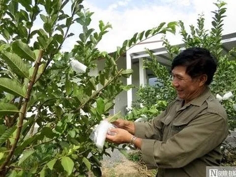 Người thương binh làm giàu trên vùng đất khó