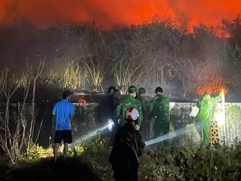 Bình Thuận: Cháy lớn khoảng 10 hecta đất rừng, huy động 20 chiến sĩ