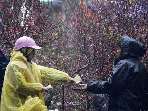 Tần suất không khí lạnh dày hơn vào dịp cận Tết Nguyên đán