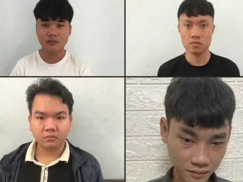 Đà Nẵng: Triệt phá chuyên án ma túy 124T