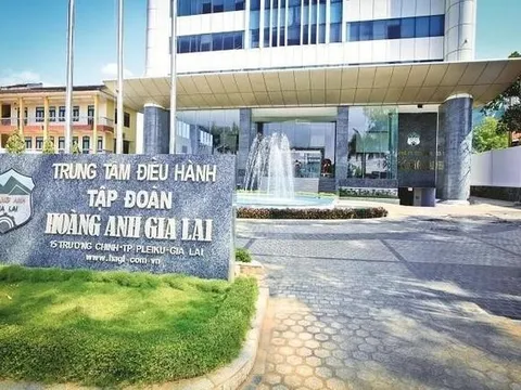 Vốn điều lệ từ 6.663 tỷ xuống 1.950 tỷ: Hành trình thay đổi của Chăn nuôi Gia Lai sau lần thứ 2 hoán đổi nợ thành vốn cổ phần với HAGL