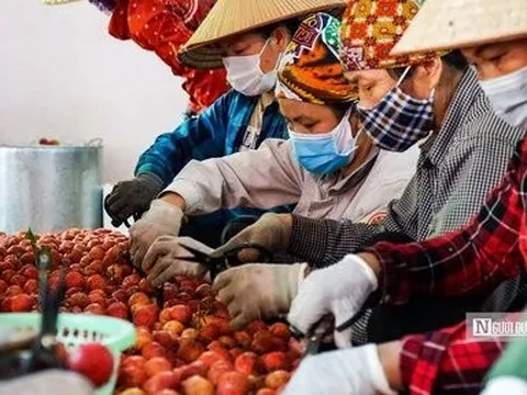 Thủ tướng yêu cầu chi trả kịp thời tiền lương, thưởng cho người lao động