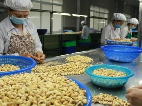 Thông tin cảnh báo về một doanh nghiệp Tây Ban Nha chây ì thanh toán tiền hàng