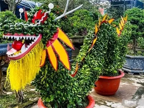 Độc đáo quất tạo hình rồng, trả giá hàng chục triệu đồng chưa bán