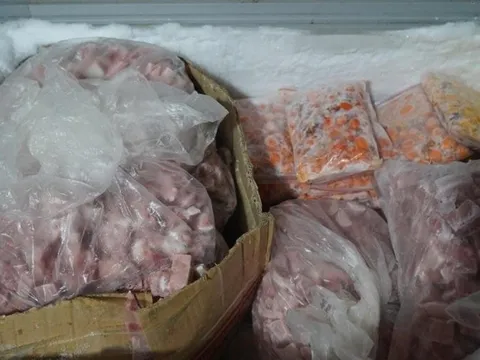 Phát hiện kho hàng hơn 3 tấn thực phẩm đông lạnh không rõ nguồn gốc