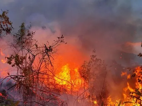 Hiện tượng lạ: Mặt đất tự bốc cháy liên tục ở Đắk Lắk