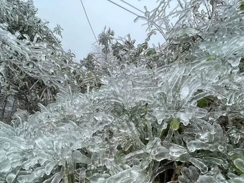 Lung linh băng tuyết tại đỉnh cao Phia Oắc- Cao Bằng
