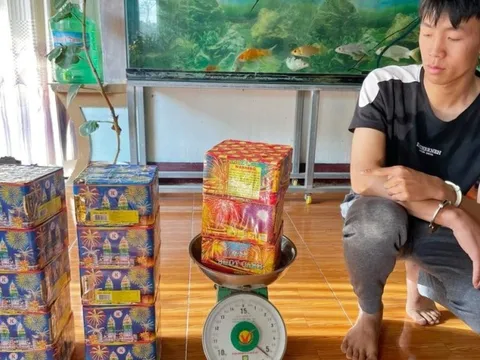 Lâm Đồng: Bắt giữ đối tượng tàng trữ 24,2kg pháo nổ trái phép