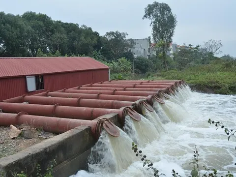 Bảo đảm hiệu quả cao nhất của 2 đợt lấy nước tập trung phục vụ nông nghiệp