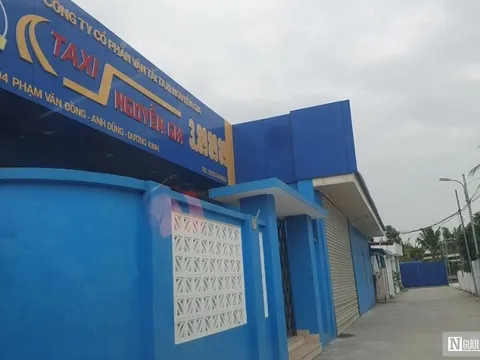 Hải Phòng: Xác minh việc doanh nghiệp “nhảy dù” chiếm hơn 800 m2 đất