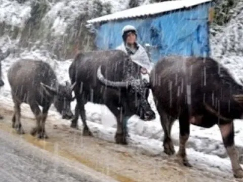 Nhiệt độ nhiều tỉnh, thành dưới 4 độ C, miền Bắc rét tê tái