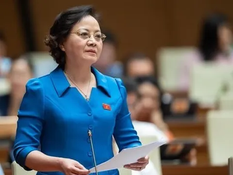 Bộ Nội vụ hướng dẫn xác định cơ cấu ngạch công chức