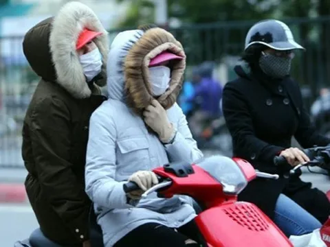 Rét đậm, rét hại kéo dài, Thủ tướng yêu cầu triển khai đồng bộ các biện pháp phòng, chống