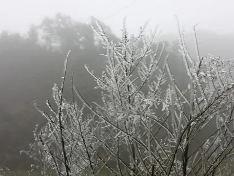 Ngắm băng giá trên đỉnh đèo Ô Quý Hồ