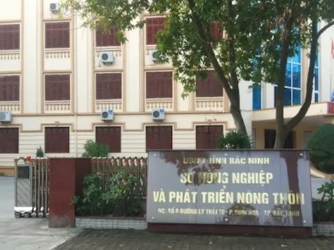 Người vừa thay thế giám đốc sở đi đánh golf trong giờ làm là ai?