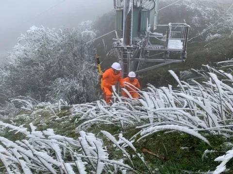 Công ty Điện lực Lạng Sơn nỗ lực vận hành lưới điện trong thời tiết khắc nghiệt