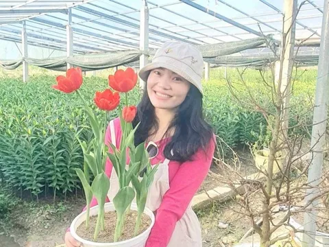 Hoa xứ lạnh trồng ở “tiểu Đà Lạt xứ Huế” sẵn sàng xuôi phố đón Tết