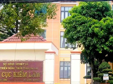 Chi cục Trưởng Chi cục Kiểm lâm tỉnh Gia Lai xin nghỉ hưu trước tuổi