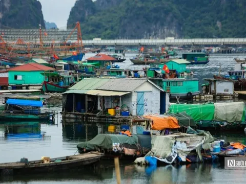 Thành lập Ban chỉ đạo gỡ cảnh báo “thẻ vàng" IUU