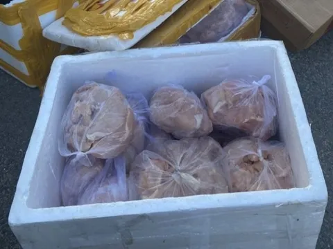 Bình Thuận: Phát hiện 270kg nội tạng động vật thối đang giao cho quán nhậu