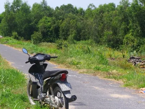 Đi đốn cây, người đàn ông phát hiện bộ xương người trong rừng tràm