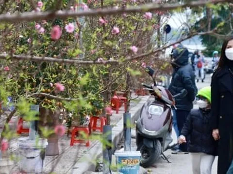 Chuyên gia nhận định tình hình mưa rét dịp Tết Nguyên đán Giáp Thìn 2024