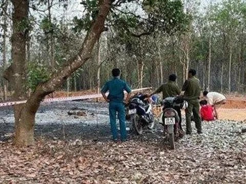 Bình Phước: Điều tra vụ cháy vườn điều khiến một người đàn ông tử vong
