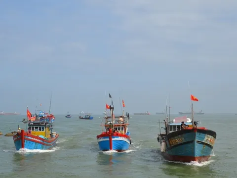 Quảng Bình xử lý nghiêm tàu ngắt kết nối, vượt ranh giới biển
