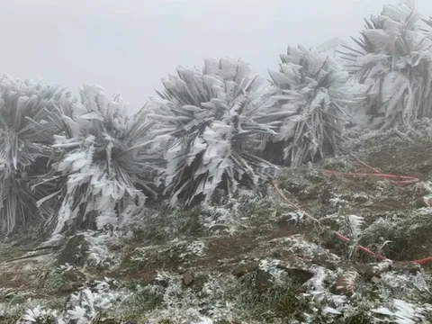 Bắc Bộ, Thanh Hóa và Nghệ An tiếp tục rét hại