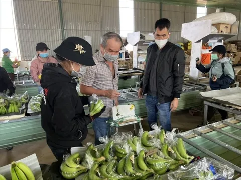 “Vũ khí” nghìn tỷ của HAGL