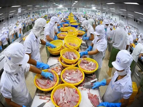 Brazil trở thành thị trường nhập khẩu cá tra lớn thứ 4 của Việt Nam