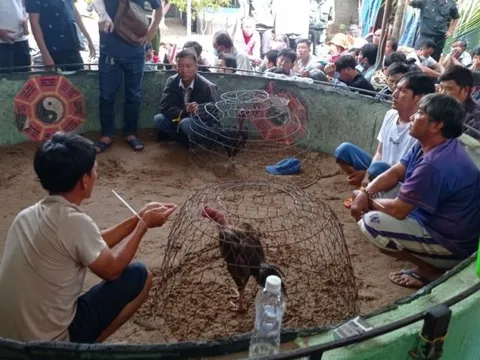 Điều tra vụ án mạng một người bị đâm tử vong do mâu thuẫn đá gà