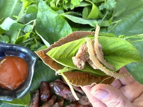 Đặc sản thịt chua xứ Nghệ vào vụ Tết