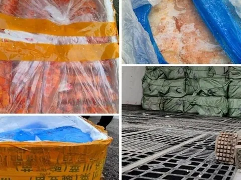 Hà Nội: Thu giữ 1 tấn nội tạng động vật bẩn