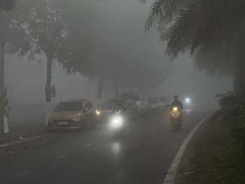 Thứ đang xuất hiện dày đặc tại Hà Nội, nếu không biết cách ứng phó sẽ rất nguy hại