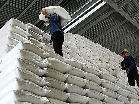 Xuất cấp gạo cho 3 tỉnh dịp Tết Nguyên đán Giáp Thìn