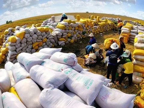 Doanh nghiệp Việt trúng gói thầu lớn, dự báo xuất khẩu gạo ‘ăn nên làm ra’