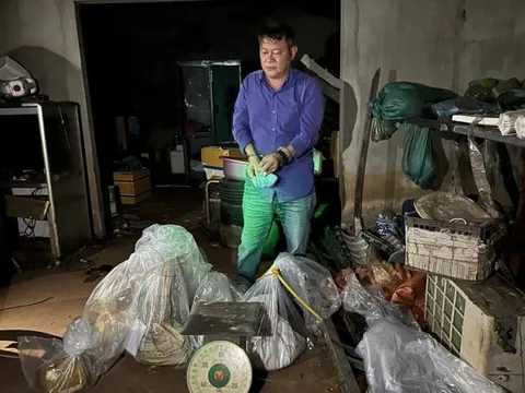 Quảng Ngãi: Bắt vụ vận chuyển, tàng trữ hàng trăm ký thuôc, kíp nổ