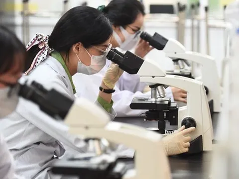 Lương chuyên gia cao cấp sẽ tương đương với lương bộ trưởng