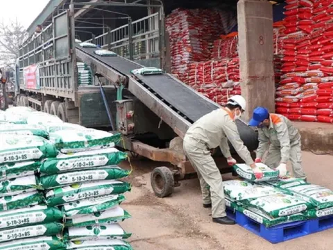 Tín hiệu tích cực cho ngành phân bón năm 2024